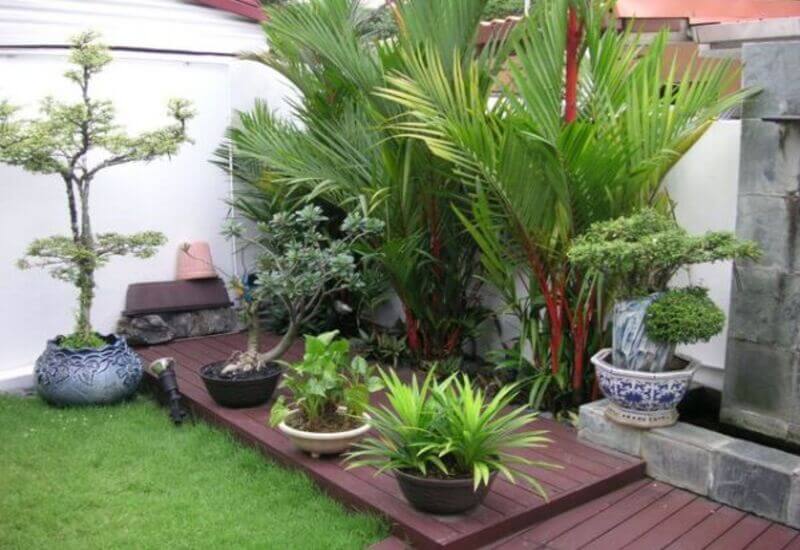 Mẫu tiểu cảnh sân vườn kết hợp với nhiều loại cây xanh khác nhau
