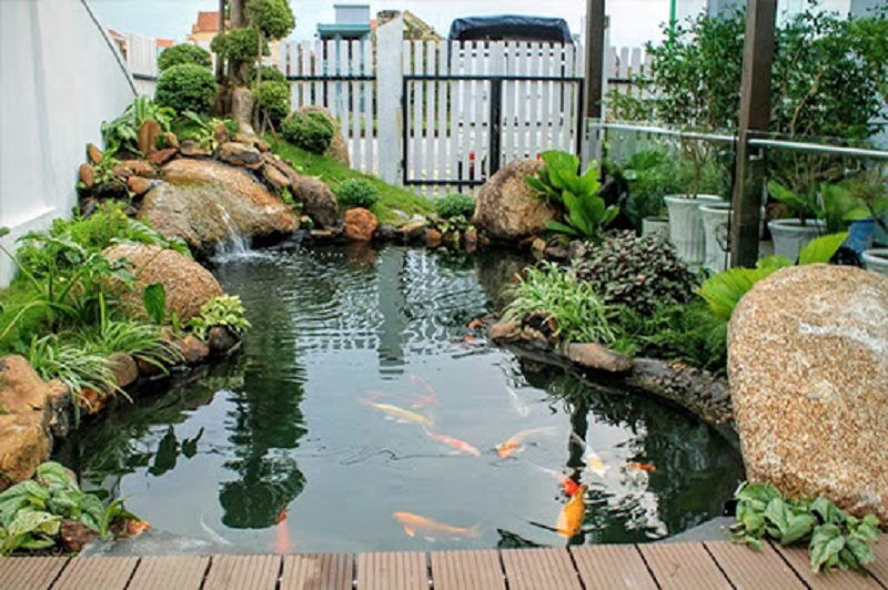 Thiết kế hồ cá koi trong không gian hẹp