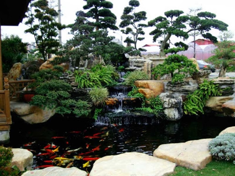 Mẫu hồ cá koi cho vườn có diện tích rộng