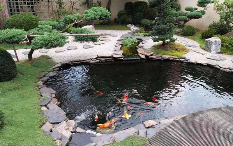 Thiết kế hồ cá koi đẹp
