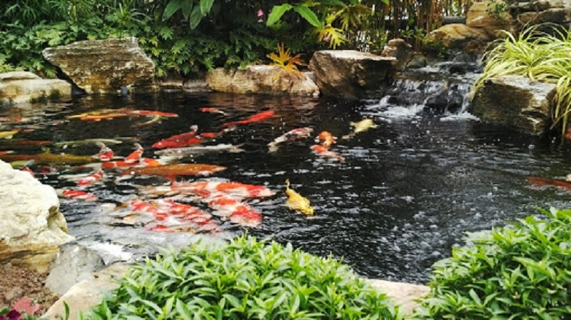 Thiết kế hài hòa với không gian sân vườn