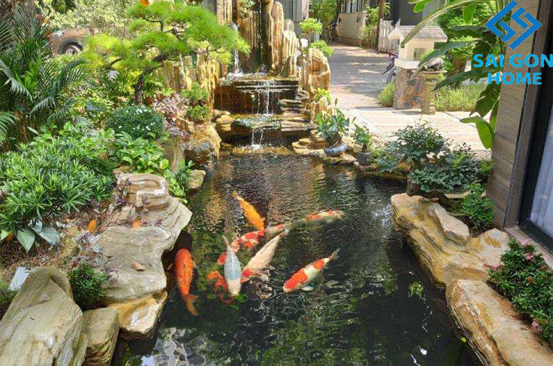 thi cong ho ca koi 02