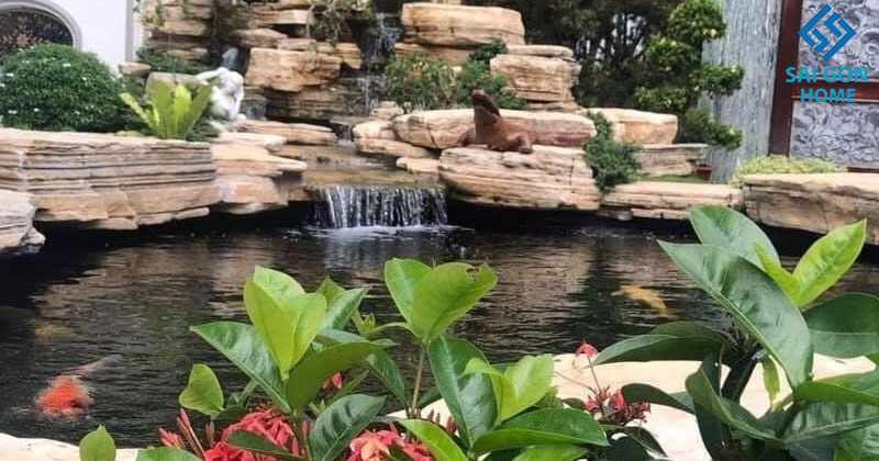 THIẾT KẾ HỒ CÁ KOI