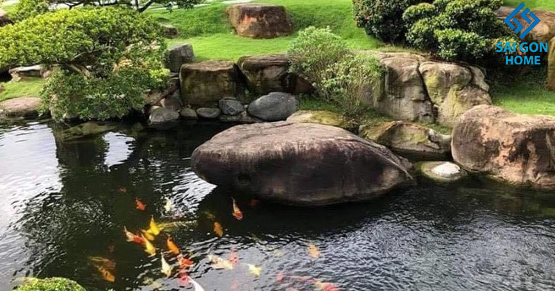 THIẾT KẾ HỒ CÁ KOI NHÀ ANH TRÍ